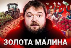 Українська малина: Від локального дефіциту до світового лідерства завдяки європейським викликам