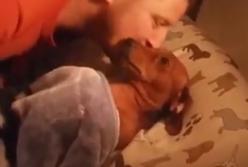 Пес не может уснуть пока его так не завернут (видео)