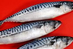 Готовим изумительную скумбрию: лучший рецепт! (видео)