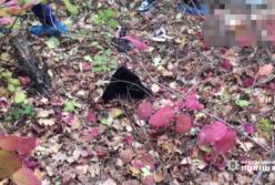 В лесополосе под Одессой нашли труп пропавшей 14-летней девочки (видео) 