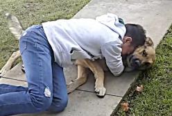 Счастливый конец: питомцы, которые вернулись домой через много лет (видео)