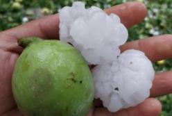 На Закарпатье выпал огромный град (видео)