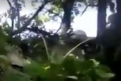 Боевик "ДНР" случайно "самоликвидировался" на Донбассе (видео)