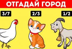 15 загадок, которые могут разгадать только самые умные: проверь себя (видео)