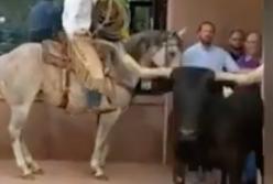 Рогатый бык ворвался в торговый центр, полный посетителей (видео)