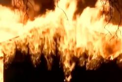 Убийственная жара в Калифорнии вызвала масштабные пожары: есть жертвы (видео)