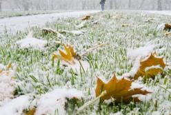 Сегодня выпал первый снег и резко похолодало в Карпатах (видео)