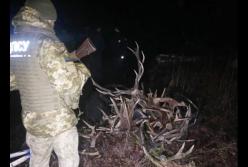 Пограничники задержали необычный груз в зоне отчуждения (видео)