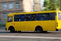 "Дождь как на улице": в сети показали состояние маршруток в Мелитополе (видео)