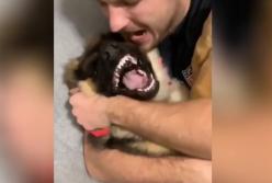 Парень довел собаку до истерики своими обнимашками (видео)