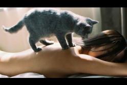 Самый мстительный кот в мире! Не стоило его дразнить (видео)