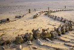 Ученые обнаружили, что под пустыней Сахара есть здания, которым несколько тысяч лет (видео)