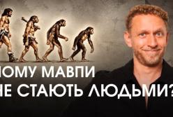 Чому мавпи не стають людьми: біолог розвінчує поширені міфи про еволюцію