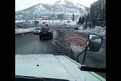 У правительства Камчатки вывалили тонны рыбьих голов (видео)