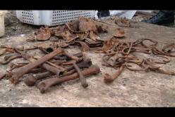 В Бресте найдены останки 600 человек времен второй мировой войны (видео)