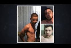 На Киевщине вооруженная банда, в состав которой входил действующий сотрудник полиции, похищала терминалы (видео)