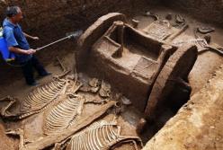 Тайна происхождения человека. Открытия, неугодные науке (видео)