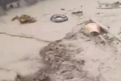 Ужасный ливень в Рахове: грязевой поток и разрушенный мост (видео)