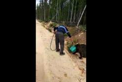 Медведь засунул голову в канистру и заблудился (видео)