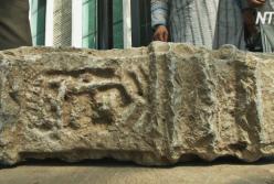 В Индии случайно обнаружили древнюю находку (видео)