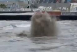 Шокирующий фонтан из моря на пляже Аркадия (Одесса): виноваты фекалии или дожди (видео)