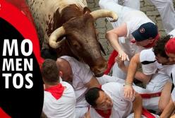 Забег с быками в Испании: животные подняли на рога несколько человек (видео)