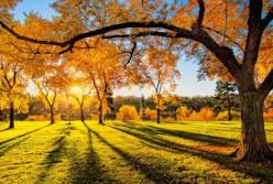 Как долго в Украине задержится теплая погода? (видео)