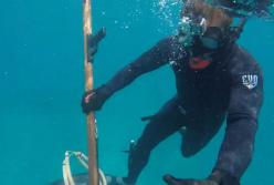 Гигантский зубастый монстр атаковал дайвера (видео)