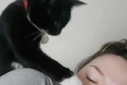 Нетерпеливый кот лапой будит сонную хозяйку: какая нежность (видео)