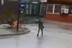Спаслись чудом: камера запечатлела момент падения дерева на прохожих (видео)