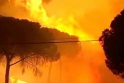 Самые странные явления природы: что происходит с нашей планетой? (видео)