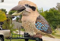 Австралиец развлекает людей на карантине 750-килограммовой смеющейся птицей (видео)