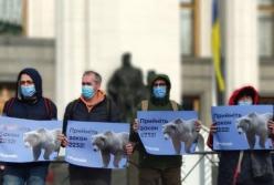 В Киеве митинговали зоозащитники (видео)