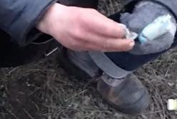 "Эта зараза поразила Крым!": Россия убивает там молодежь (видео)