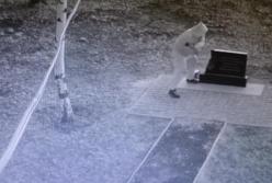 На видео попало разрушение памятника бойцам Айдара (видео)