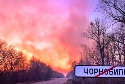 В зоне отчуждения горит Рыжий лес (видео)