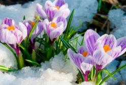 Весна пришла раньше: стоит ли прятать зимние вещи? (видео)