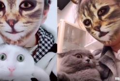 Реакцией кошек на преображение своих хозяев насмешила Сеть (видео)