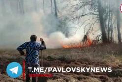 Полиция задержала возможного поджигателя леса под Киевом (видео)