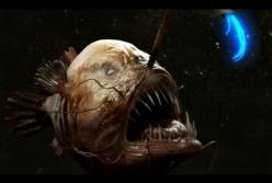 На дне Марианской впадины нашли странных существ с алюминиевым экзоскелетом (видео)