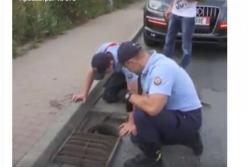 Двое полицейских спасли маленьких утят из канализации (видео)