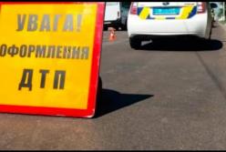 В Бердянске автомобилистка сбила льва (видео)