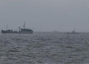 Новости Крымнаша: Россияне их угробили. Поснимали даже плафоны, розетки и унитазы