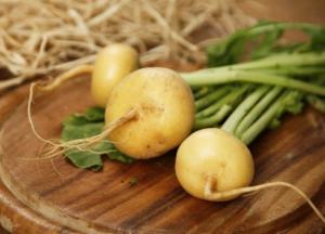 Лучше и полезнее картофеля: Незаслуженно забытый овощ — репа