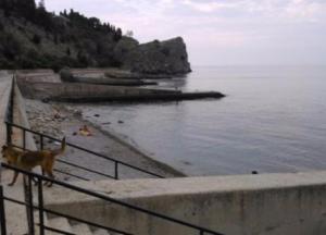 Крым поперек горла: иллюстрация одного жлобства