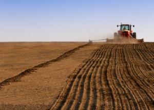 Куда исчезло 5 млн гектаров пашни?