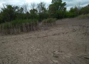 В «ДНР» затопили радиоактивную шахту: как выглядят последствия (фото)