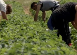Нам упорно внушают, что наш удел - это вилы, кизяк и чернозём 