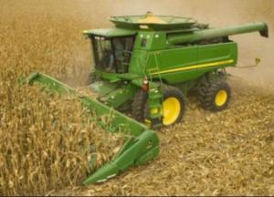 Метаморфозы и парадоксы Украины