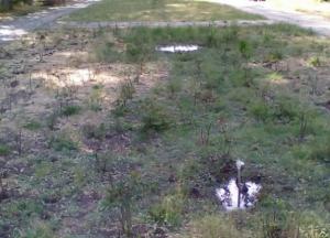 Новости Крымнаша: Крым убивает